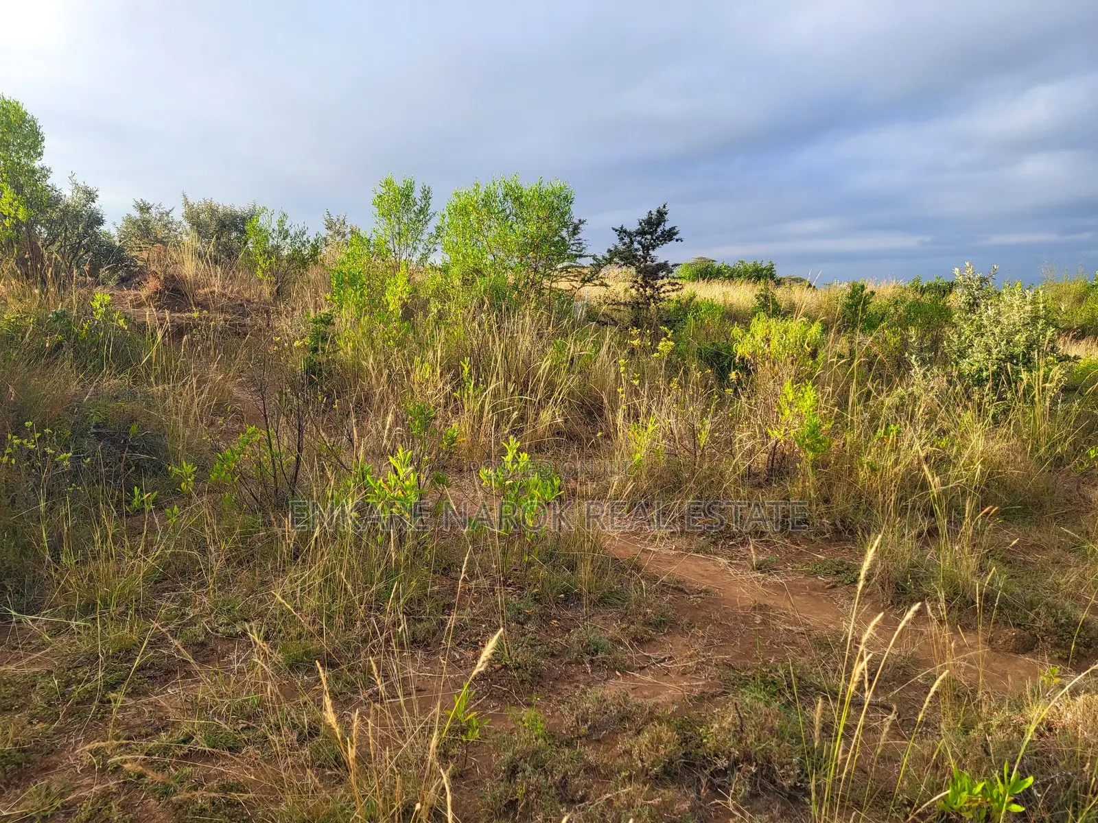 50x100 Plot for Sale in Narok Olepolos – Kes 300,000