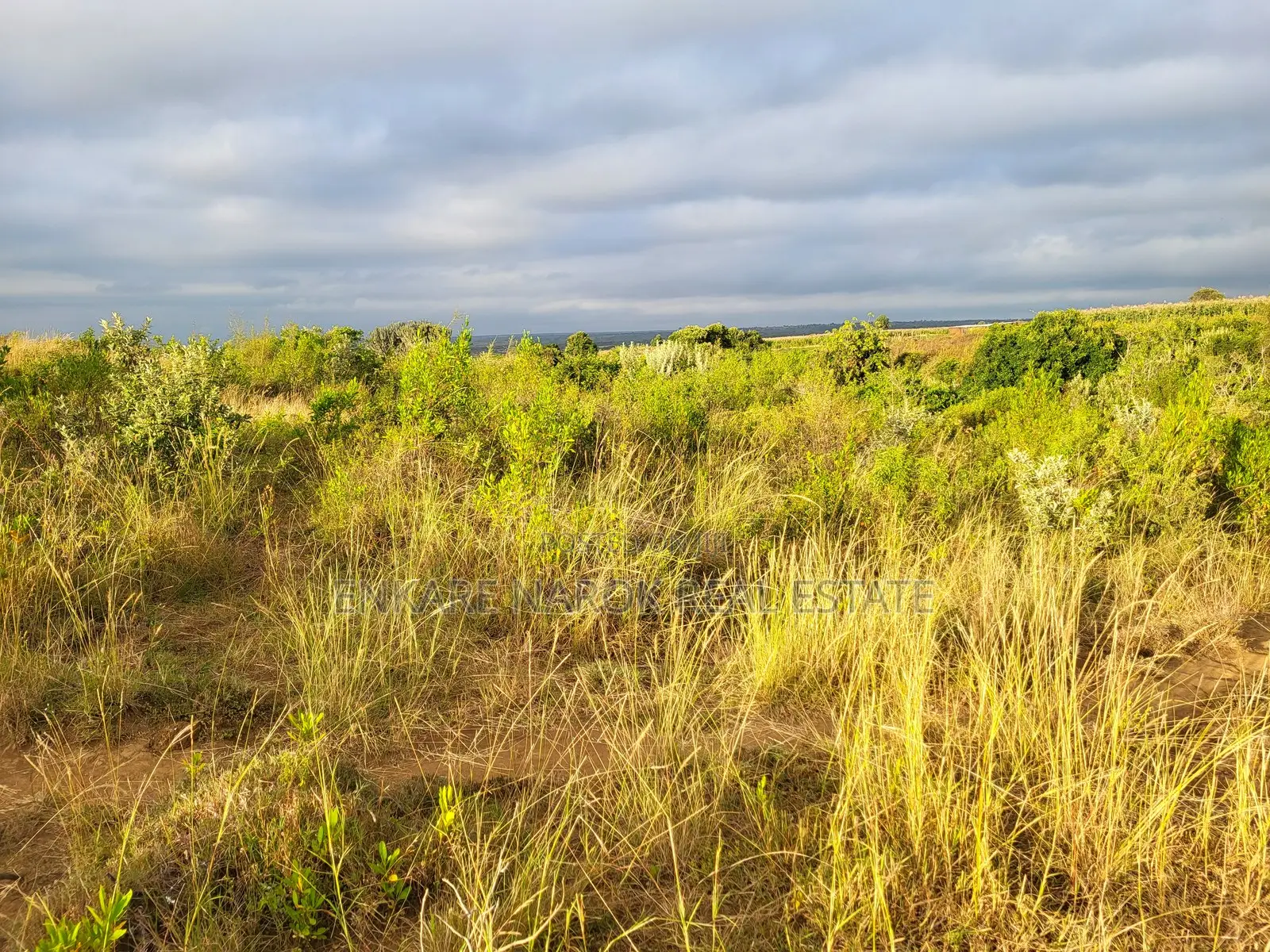 50x100 Plot for Sale in Narok Olepolos – Kes 300,000