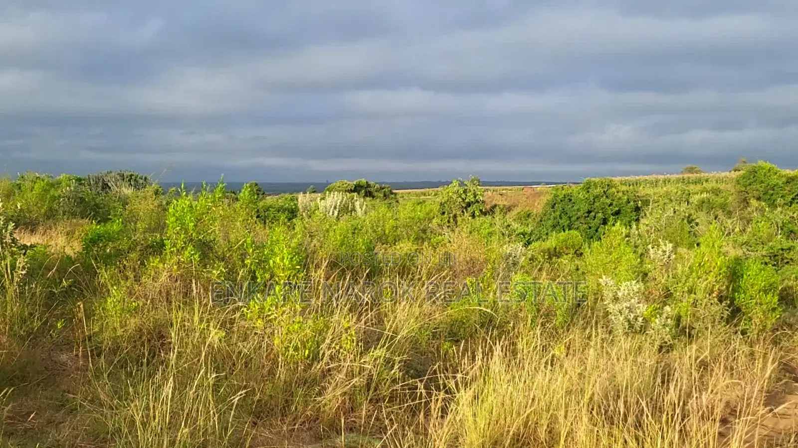 50x100 Plot for Sale in Narok Olepolos – Kes 300,000