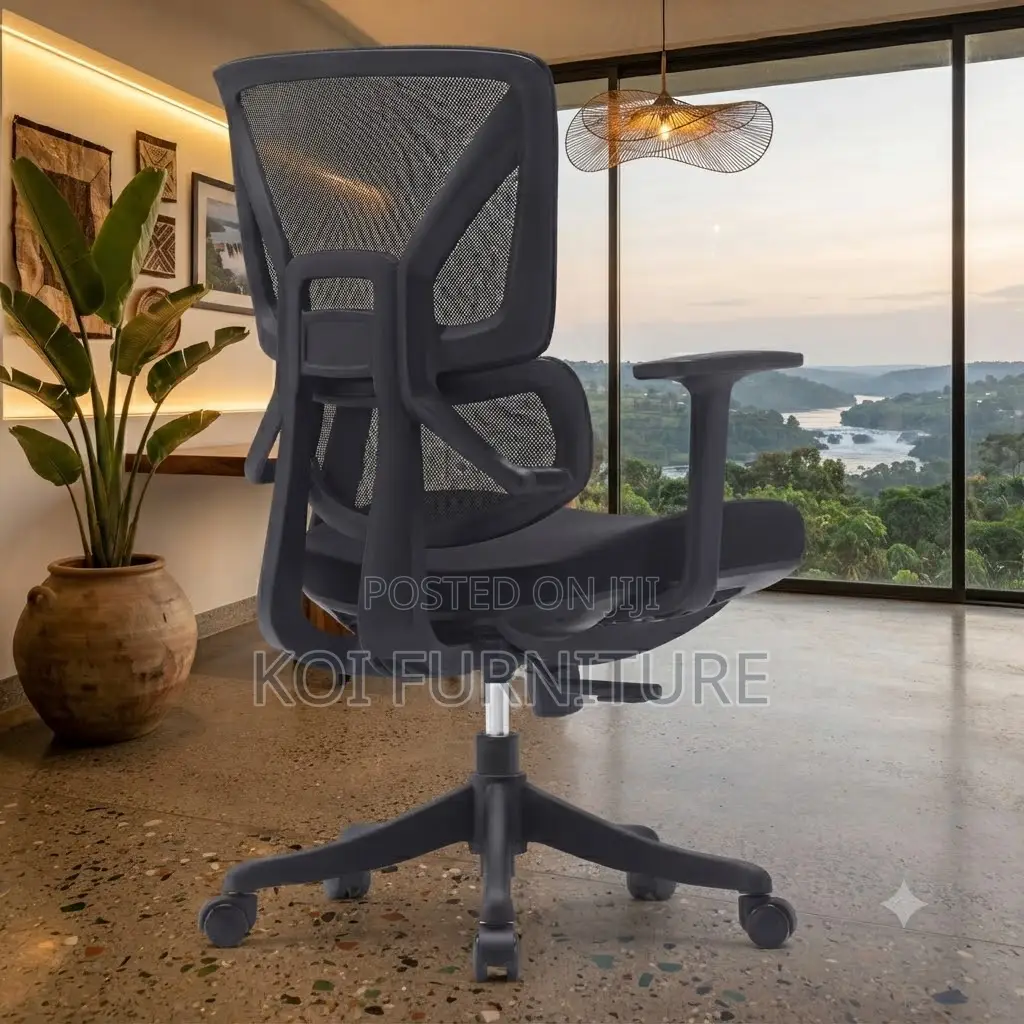 Office Chair; Orthopedic Modern Chair With Arm Rest With Back Support