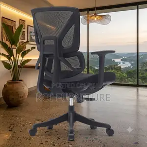 Office Chair; Orthopedic Modern Chair With Arm Rest With Back Support