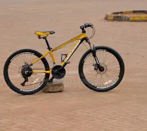 Mountain Bicycle