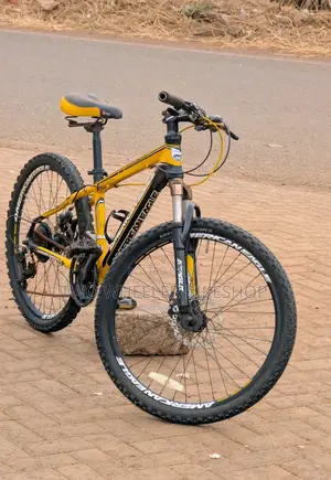 Mountain Bicycle