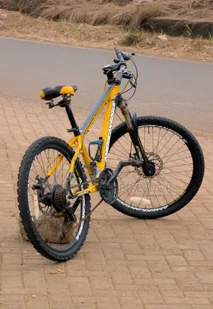 Mountain Bicycle