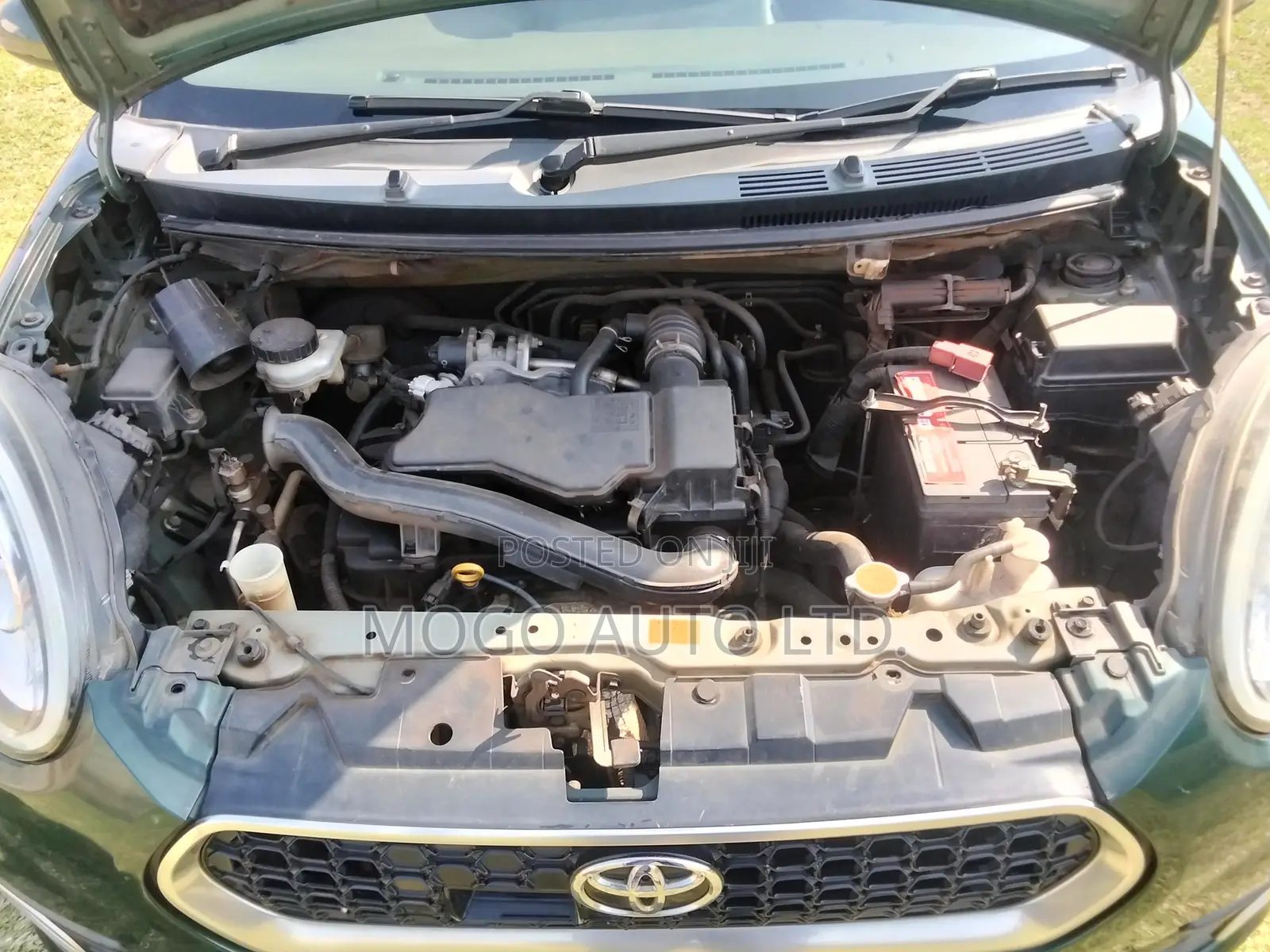 Toyota Passo 2016 Green