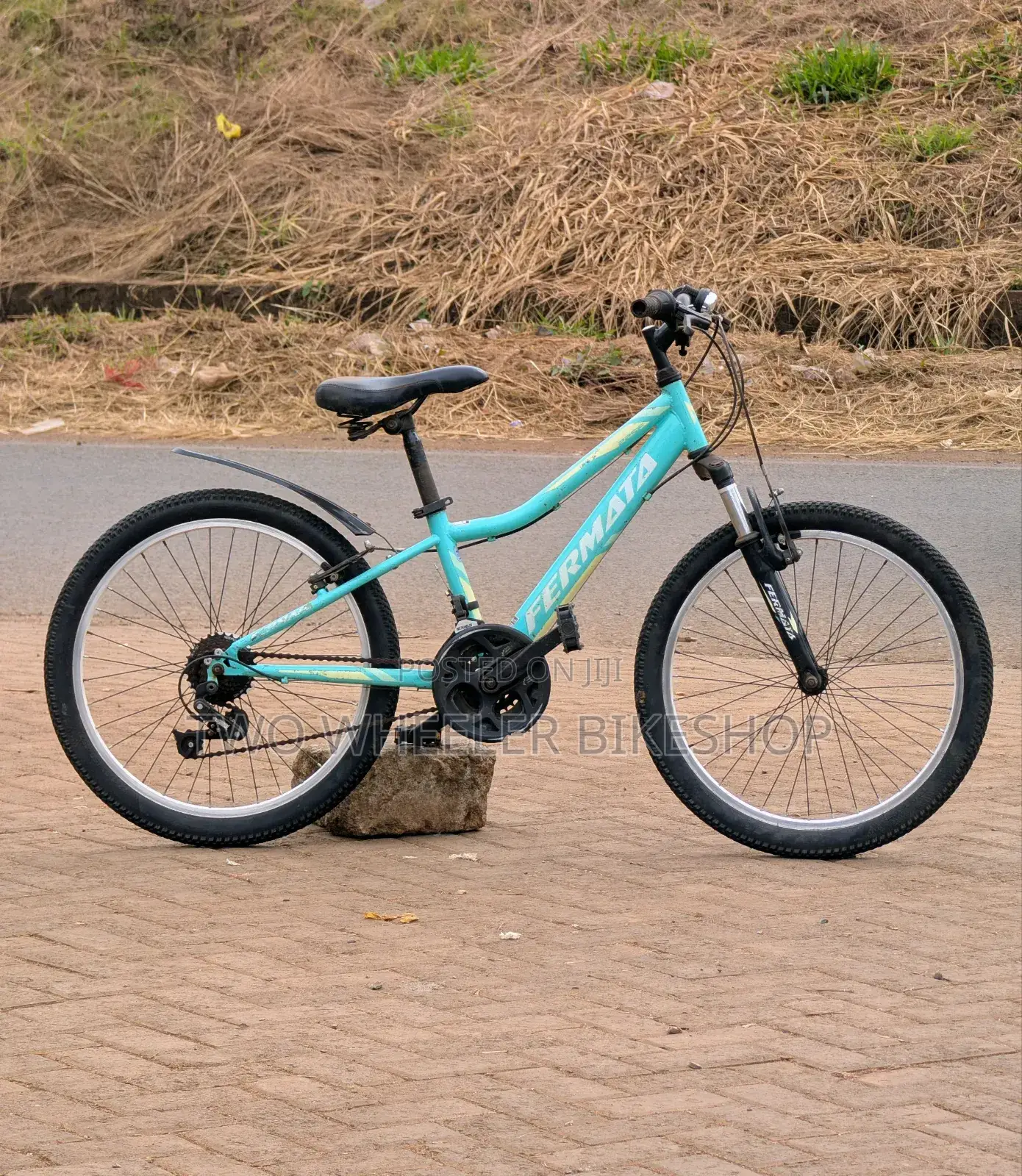 Mountain Bicycle