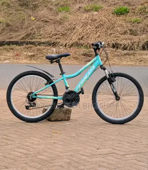 Mountain Bicycle