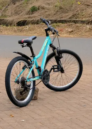 Mountain Bicycle
