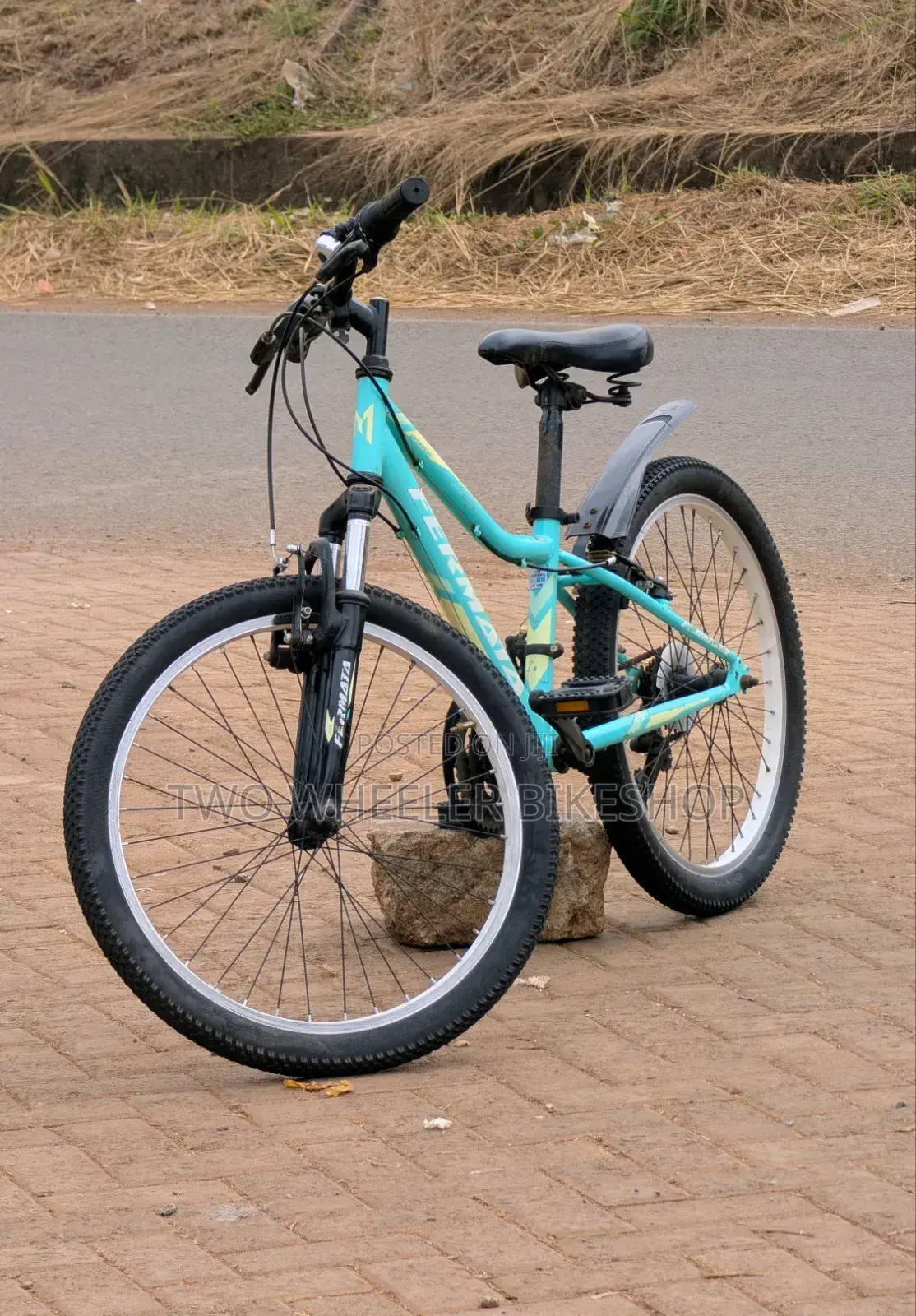 Mountain Bicycle