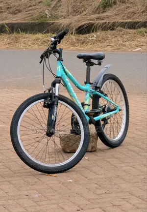 Mountain Bicycle