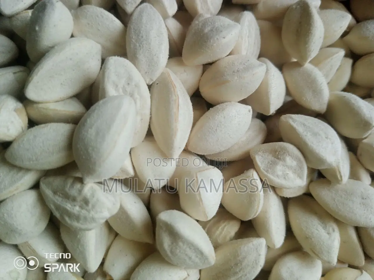 Moringa Seed, Moringa Powder
