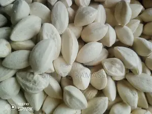 Moringa Seed, Moringa Powder