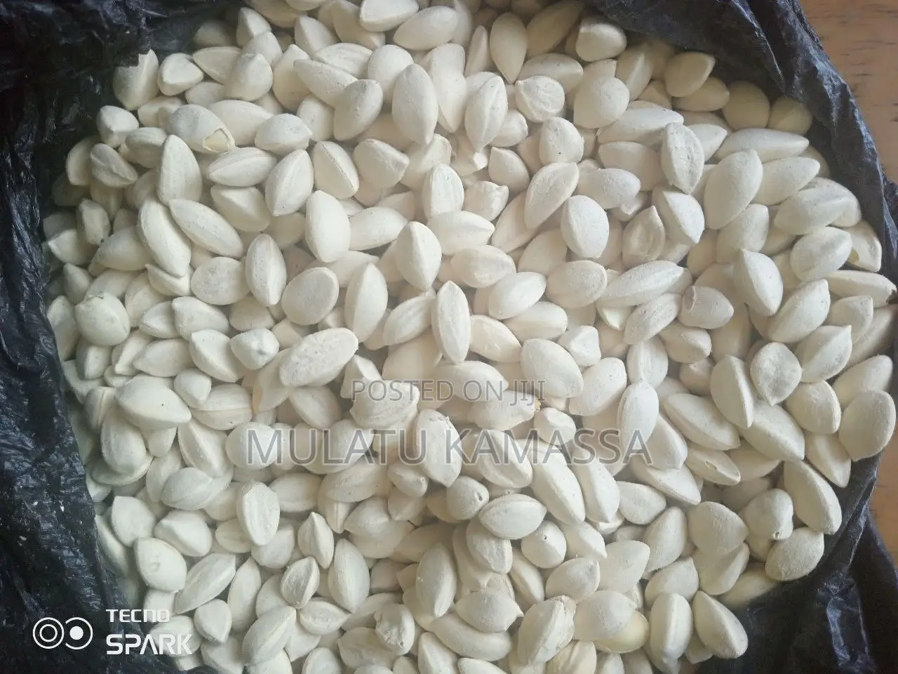 Moringa Seed, Moringa Powder