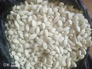 Moringa Seed, Moringa Powder