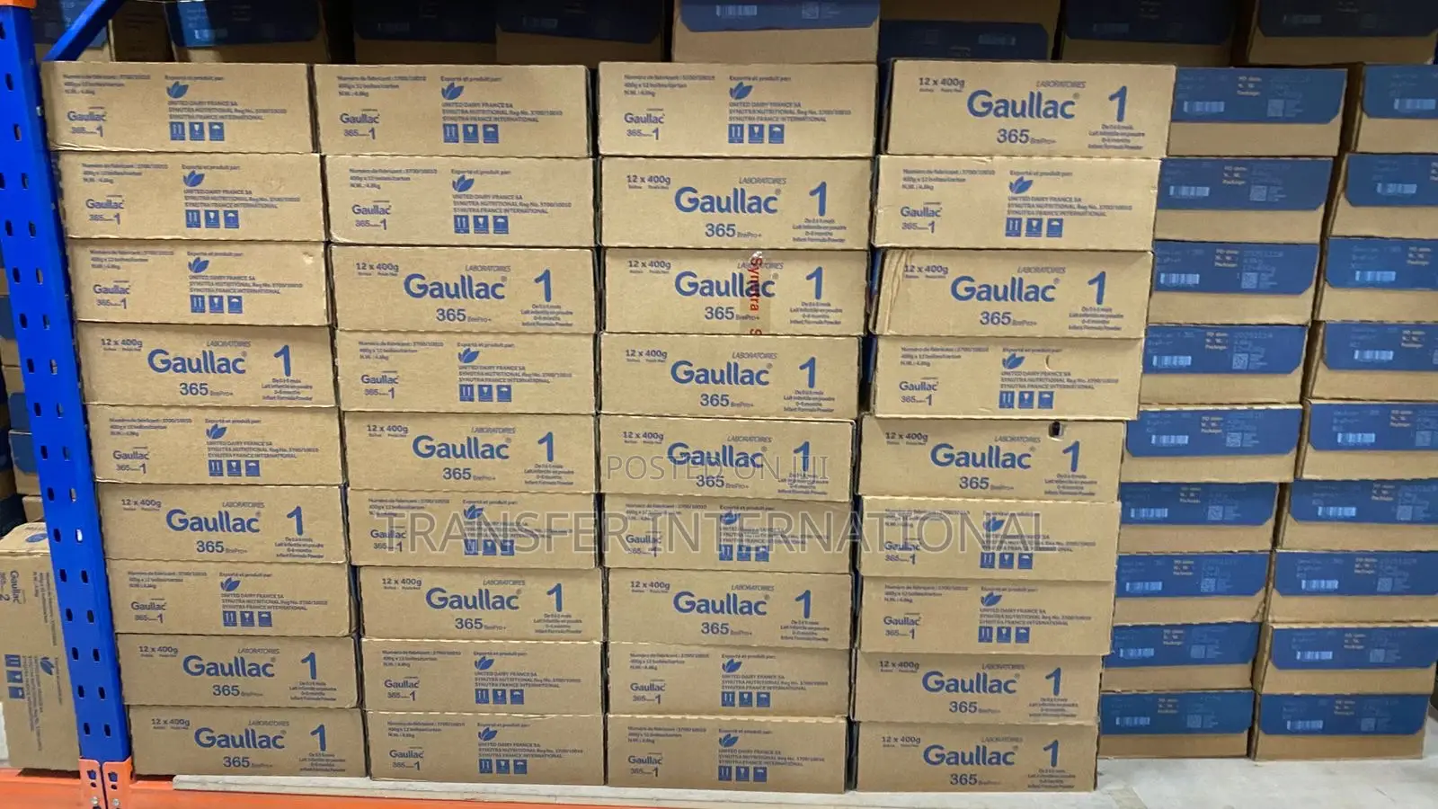 Gallulac Premium Baby Infant Milk