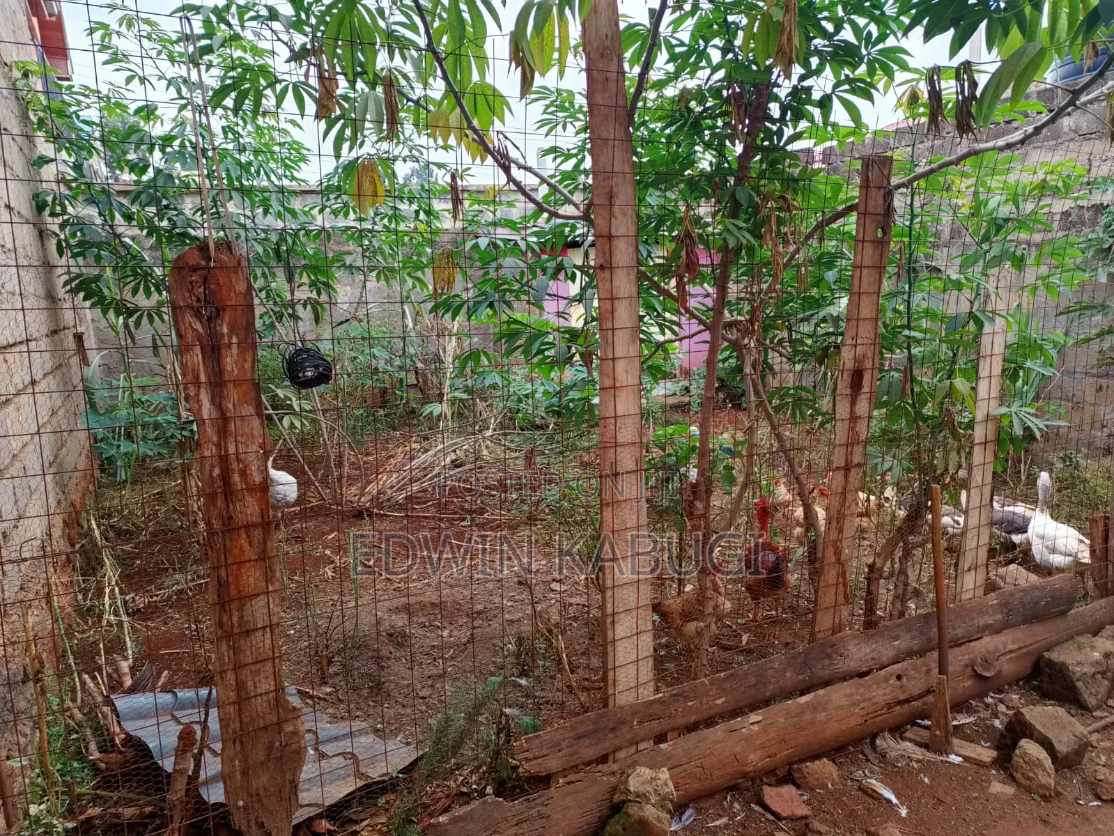 3bdrm Mansion in Riverside Estate, Kenyatta Road / Theta for sale