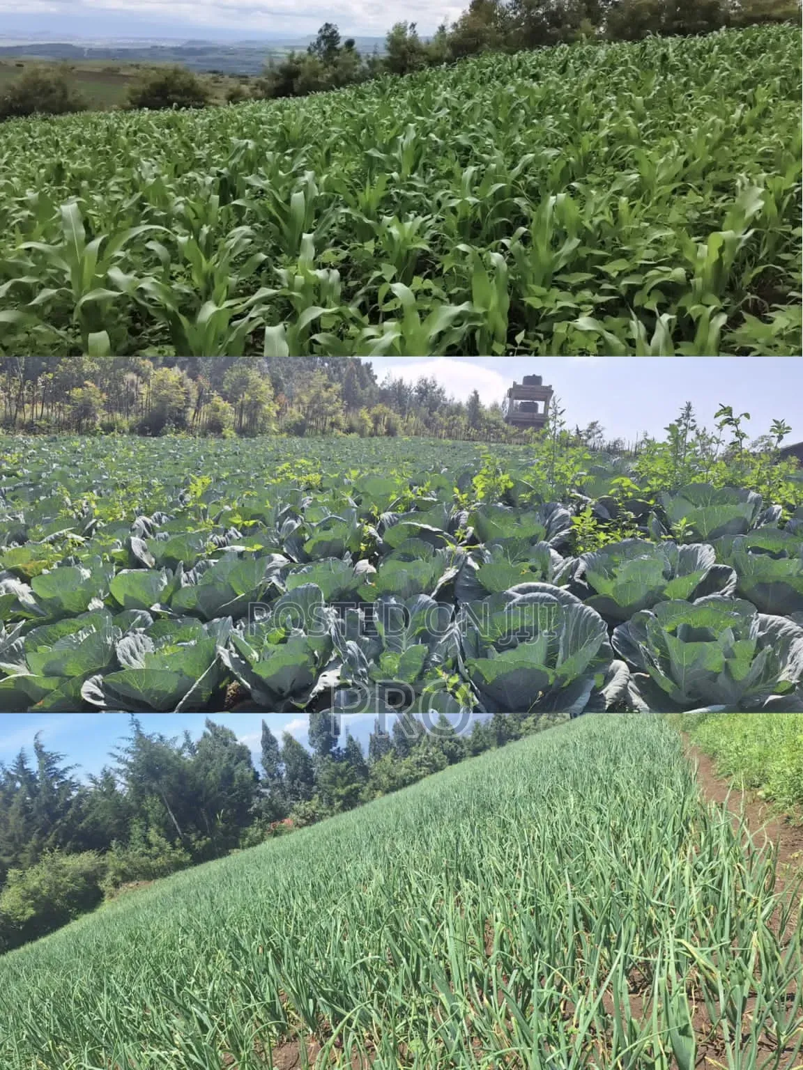 Prime 2 Acres Agricultural Land Nyandarua County Kipip Constituency