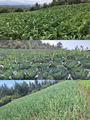 Prime 2 Acres Agricultural Land Nyandarua County Kipip Constituency