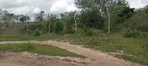 1-Acre of Land