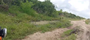 30-Acre of Land