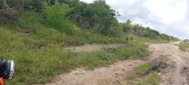 1-Acre of Land - thumbnail 2