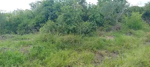 30-Acre of Land