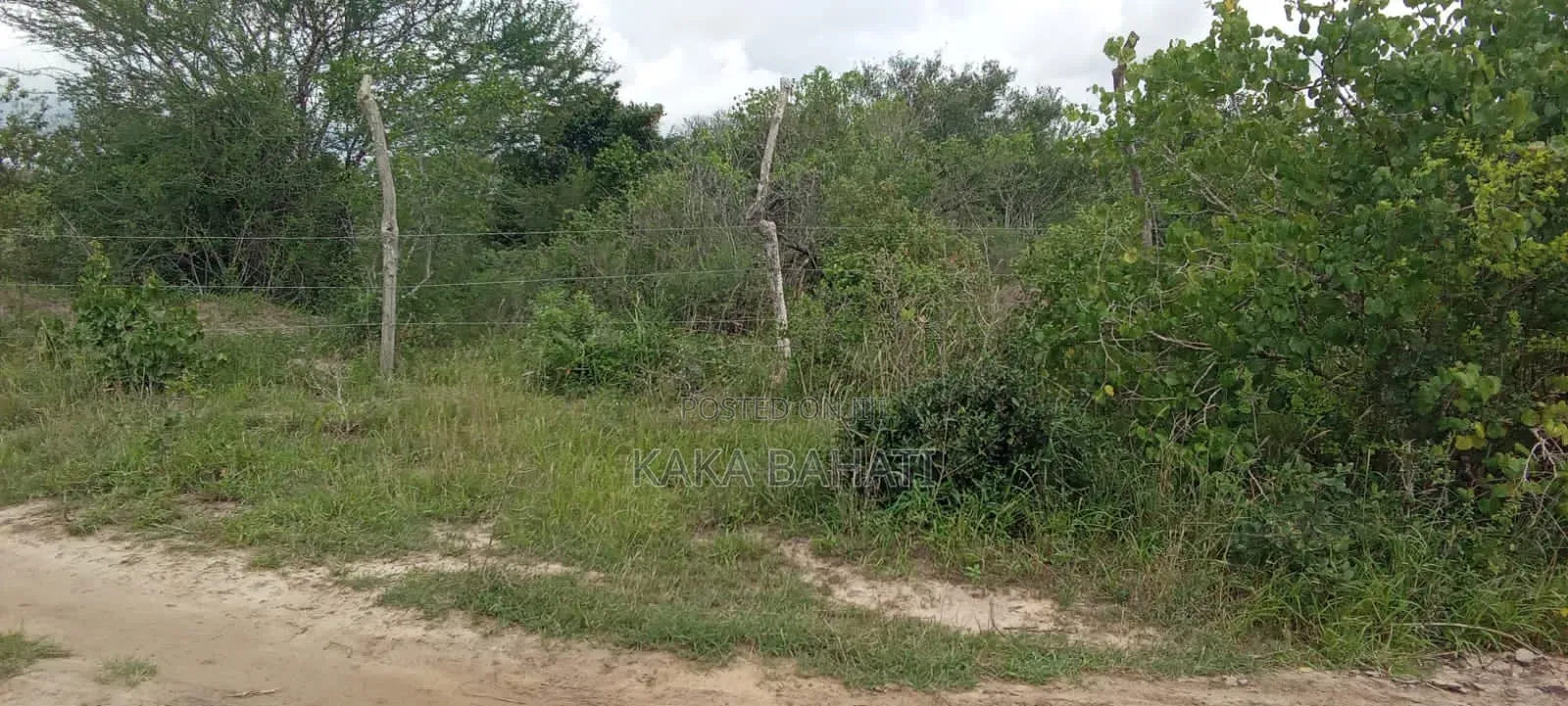 30-Acre of Land