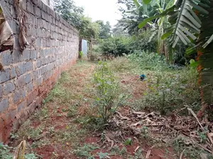Prime Land for Sale