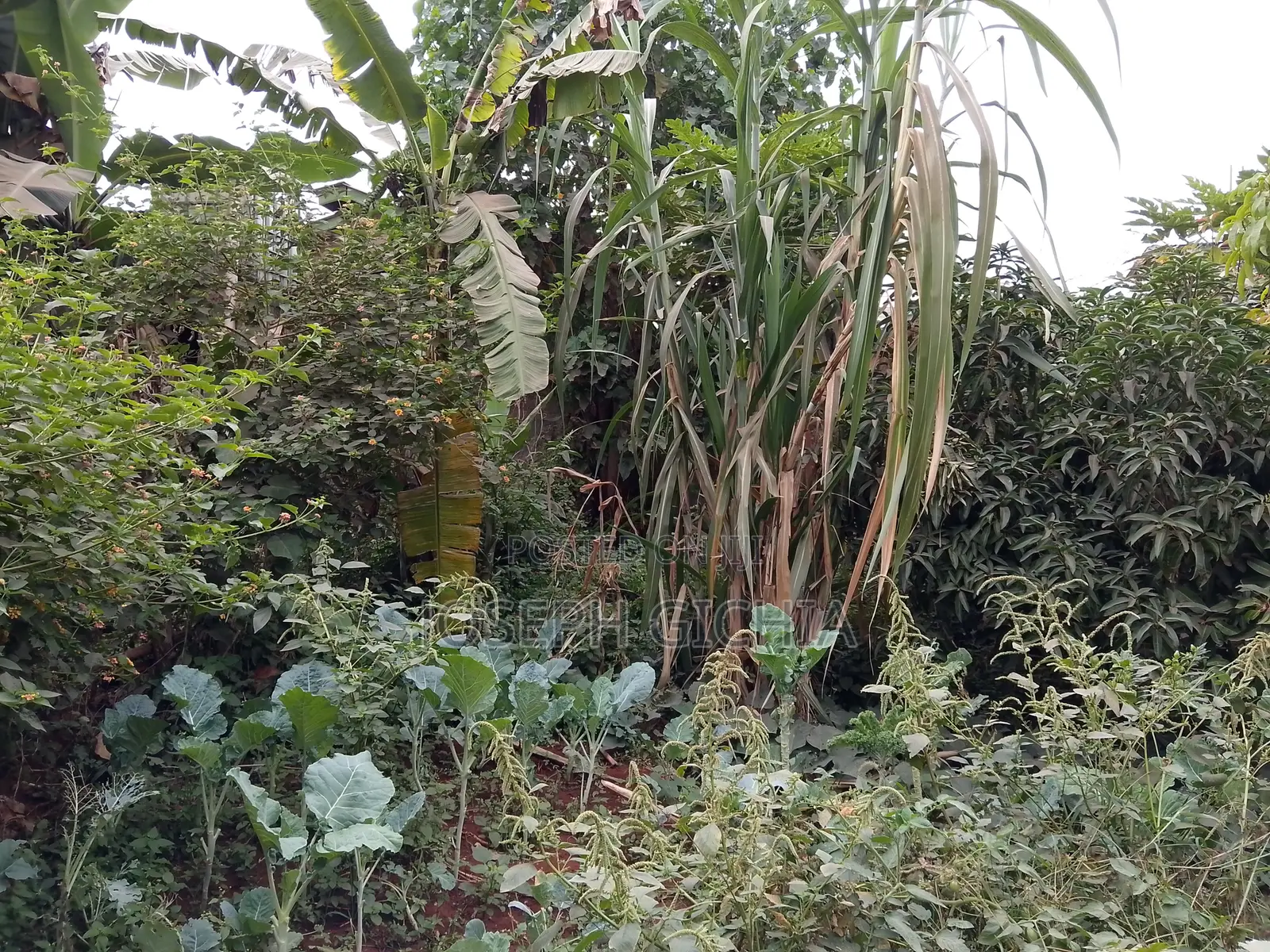 Prime Land for Sale