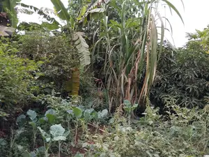 Prime Land for Sale