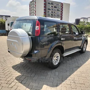 Ford Everest 2013 Gray