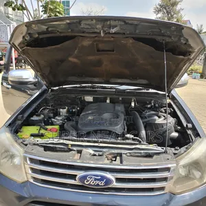 Ford Everest 2013 Gray