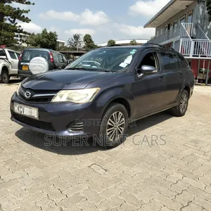 Toyota Corolla Fielder 2012 Gray