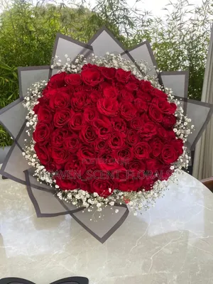 Romantic Red Rose for Love