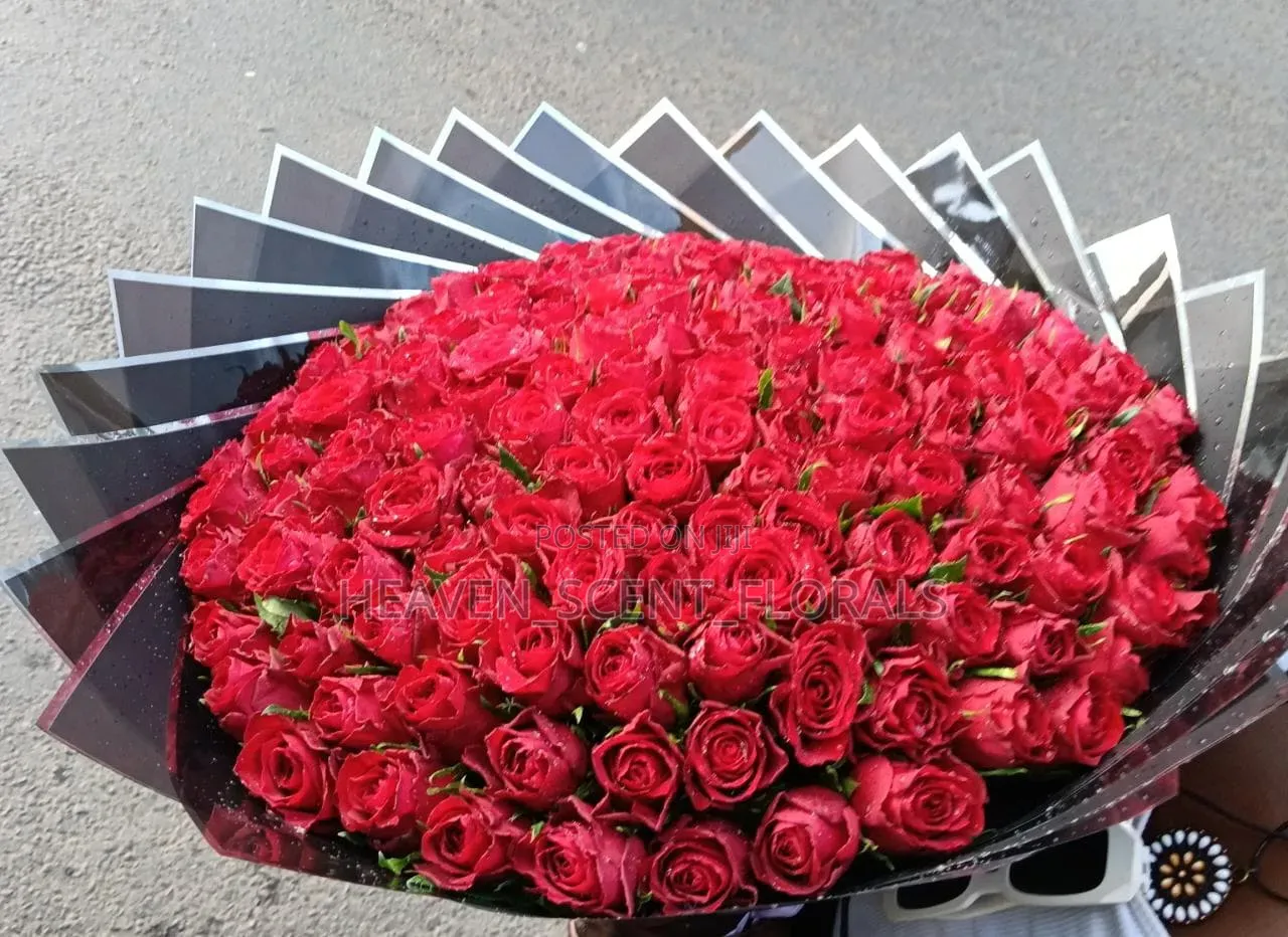 Romantic Red Rose for Love