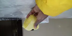 Pet Shower Brush