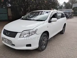 Toyota Corolla Fielder 2009 White