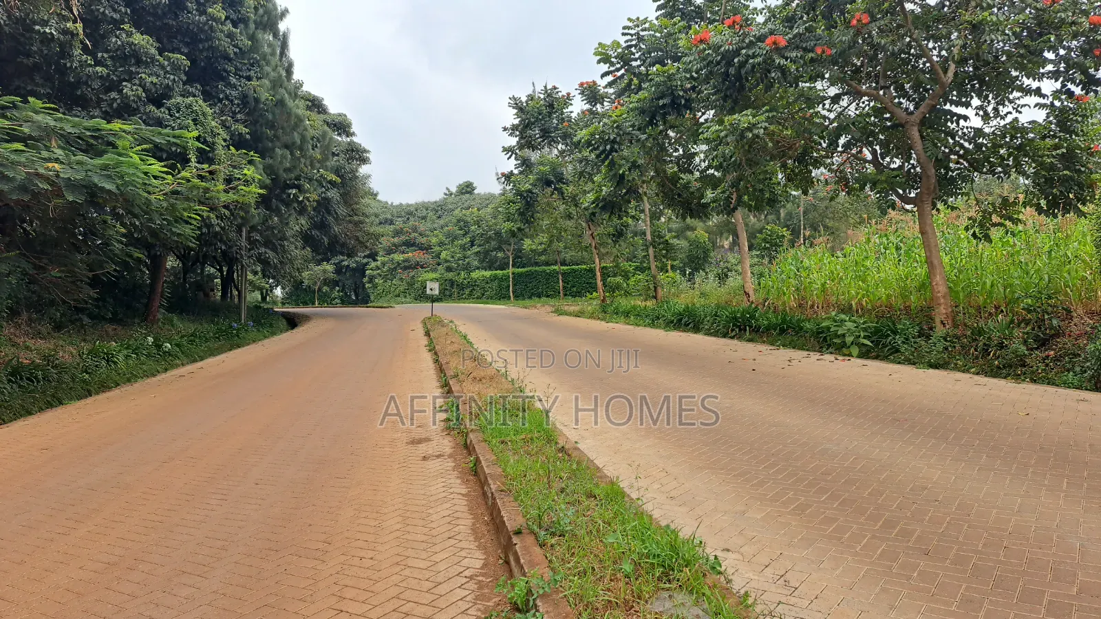 Premium1/8 Acre Plots for Sale at Migaa