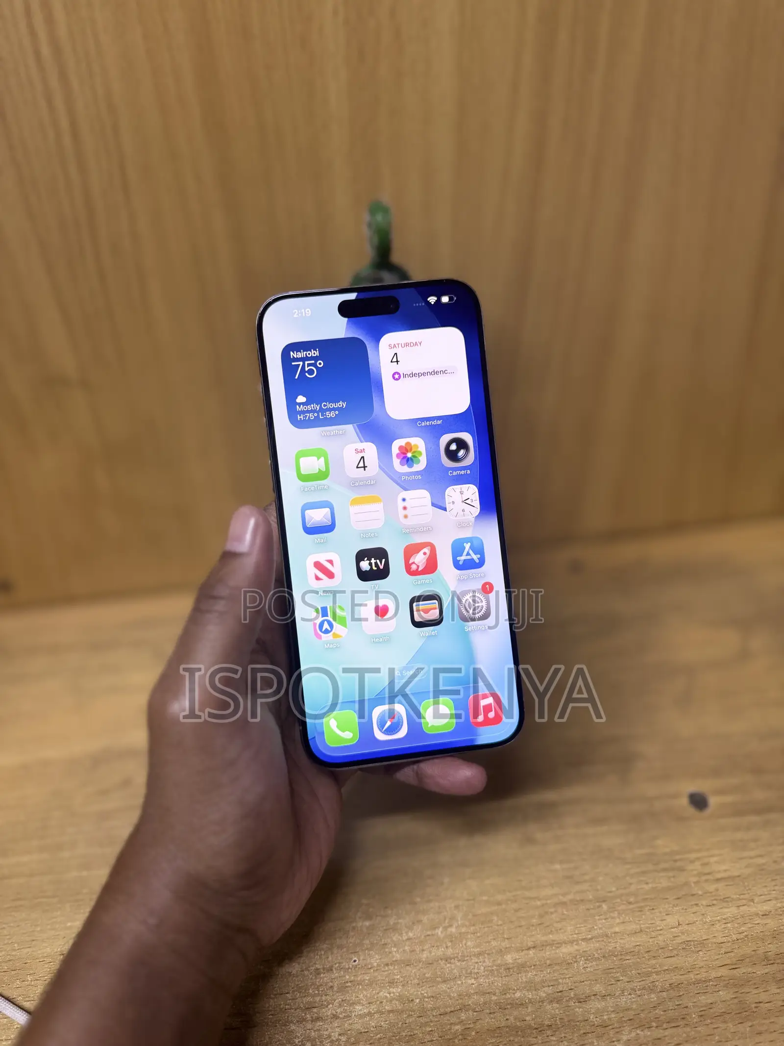 Apple iPhone 15 Pro Max 256 GB Silver