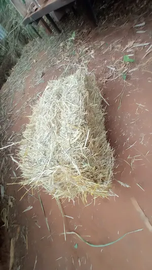 Hay Bale's for Sale