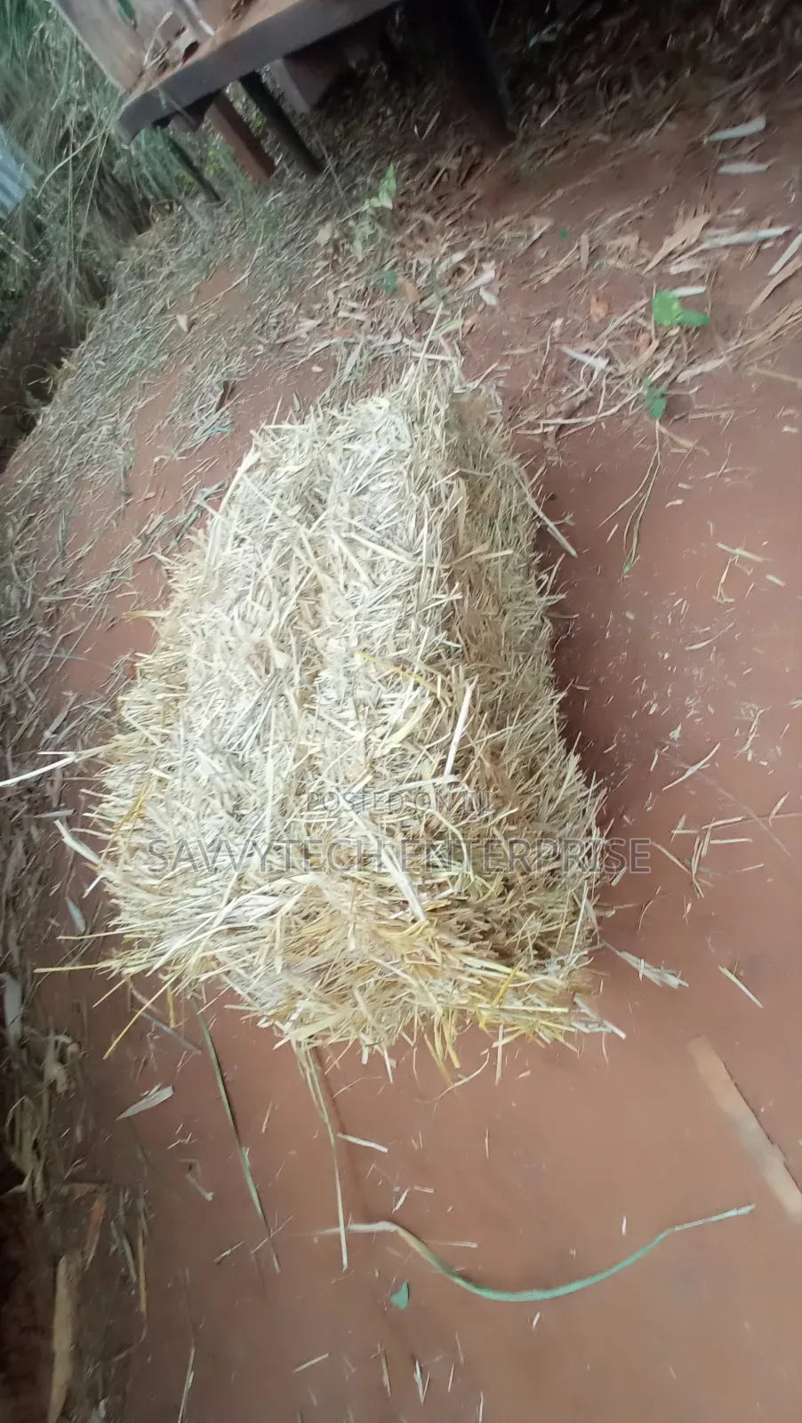 Hay Bale's for Sale