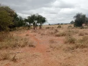 30 Acres Land for Sale at 3m Block