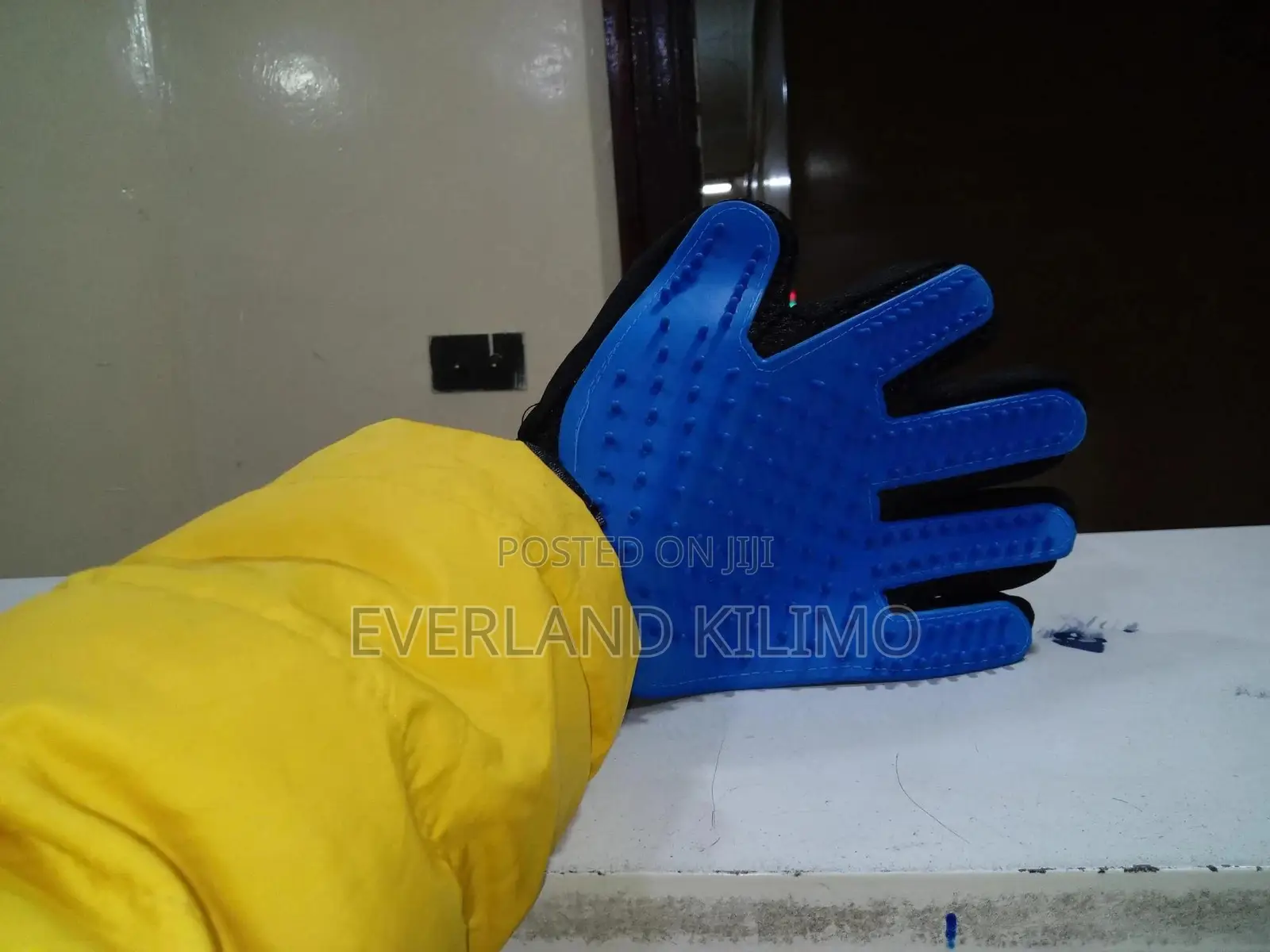 Pet Grooming Glove Dogs
