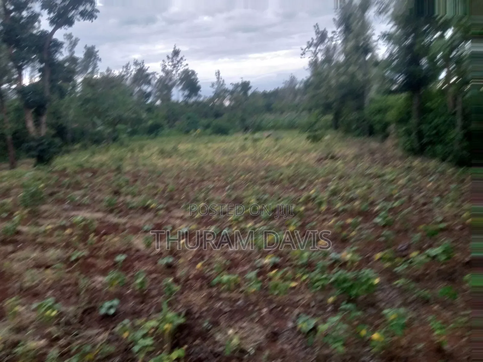 1/4 Acre Ruiri,Tutua