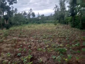 1/4 Acre Ruiri,Tutua