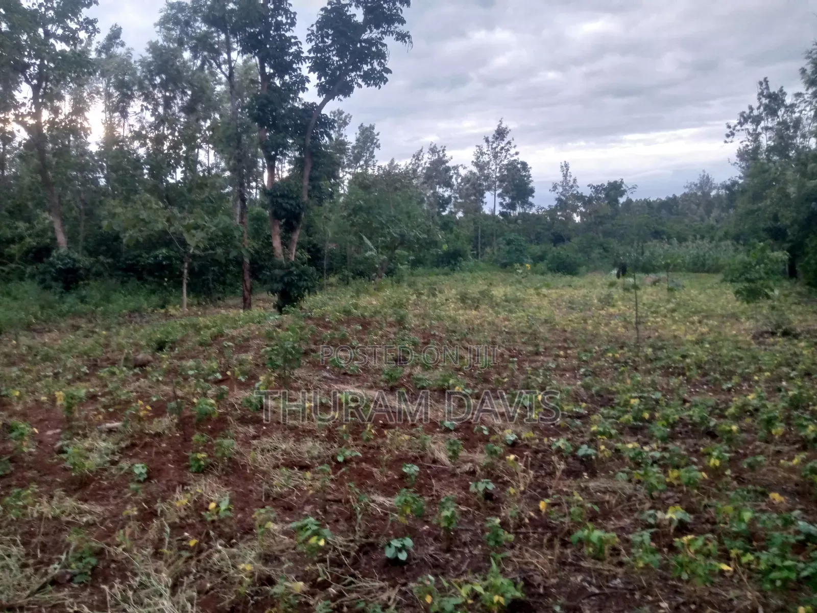 1/4 Acre Ruiri,Tutua
