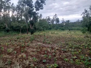 1/4 Acre Ruiri,Tutua