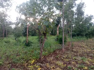 1/4 Acre Ruiri,Tutua