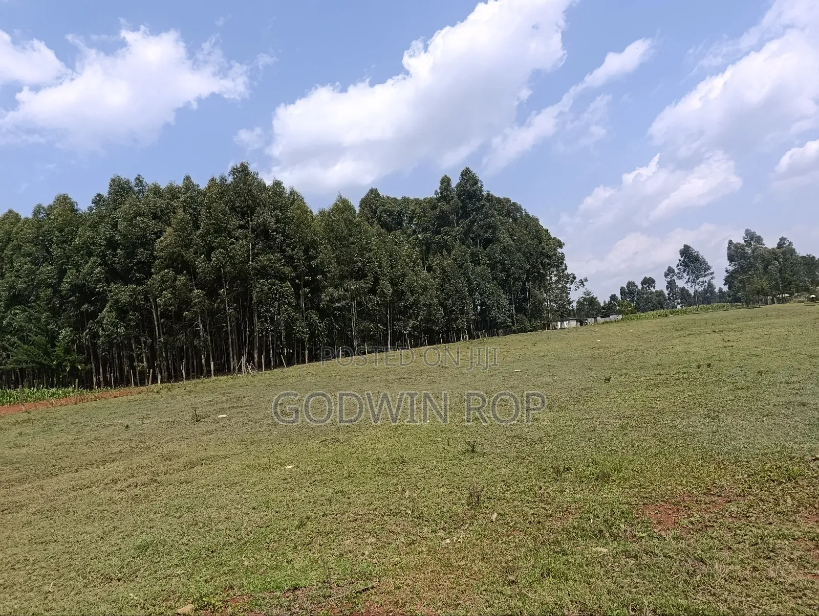 1⁄8 Plots for Sale in Kabongo Kapsaret Eldoret.