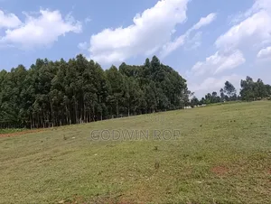 1⁄8 Plots for Sale in Kabongo Kapsaret Eldoret.